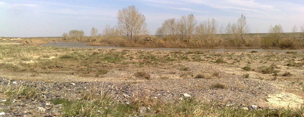 030520155433.jpg