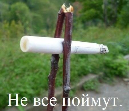12208685.jpg