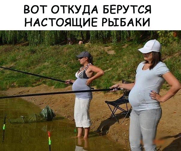 14810306.jpg