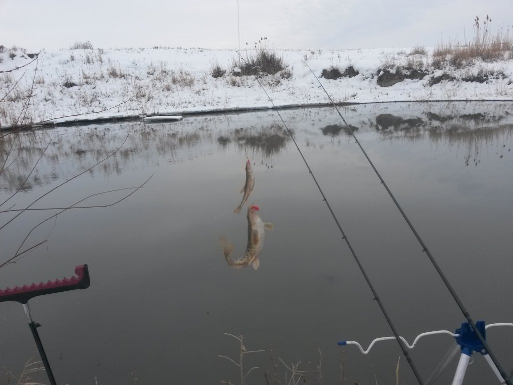 20140126_163337.jpg