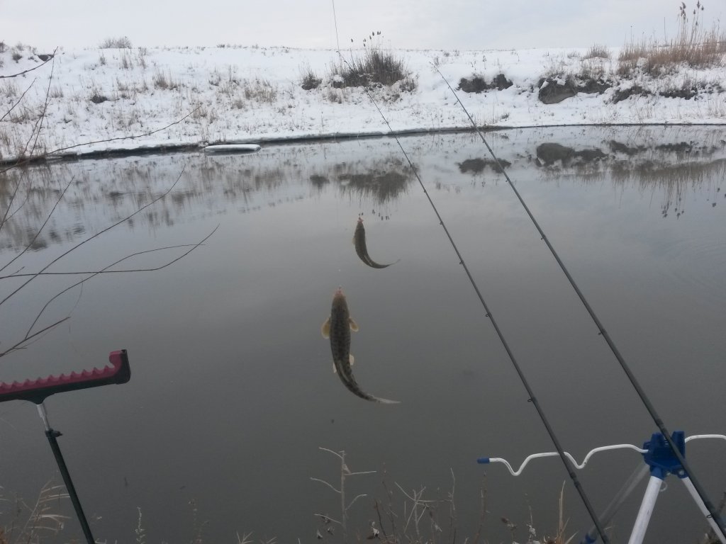20140126_163340.jpg