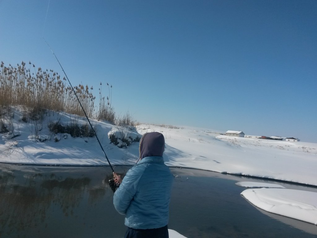 20140216_142823.jpg