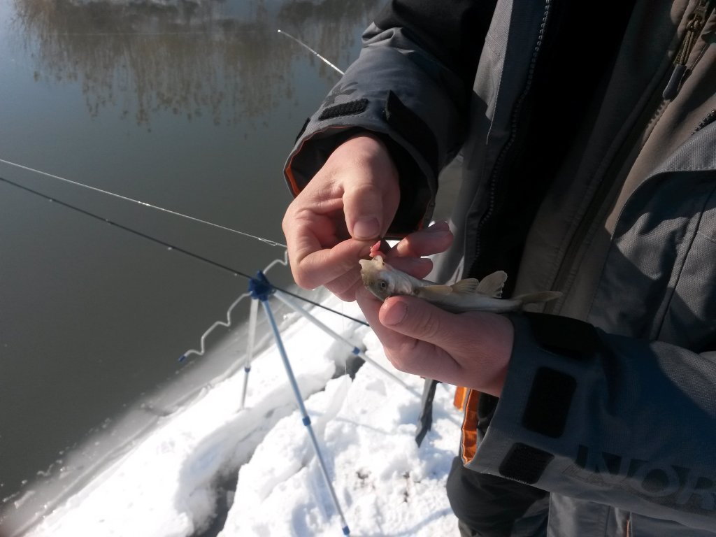 20140216_144547.jpg