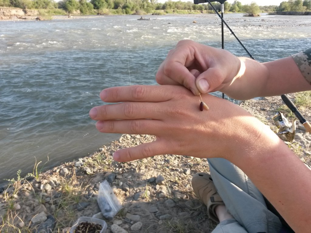 20140612_184632.jpg
