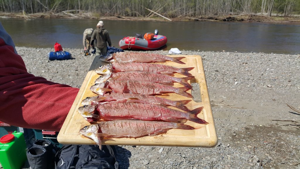 20150603_110331.jpg