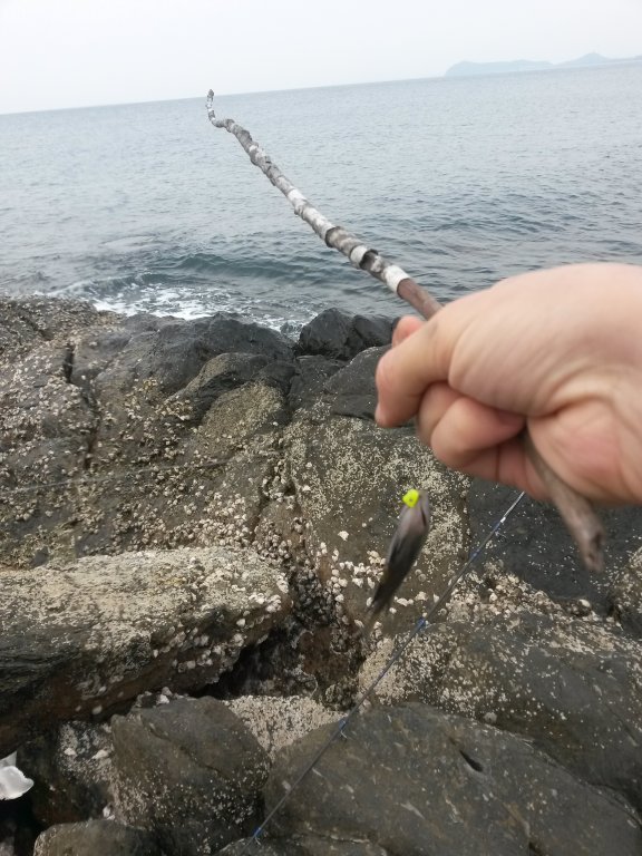 20150925_164923.jpg