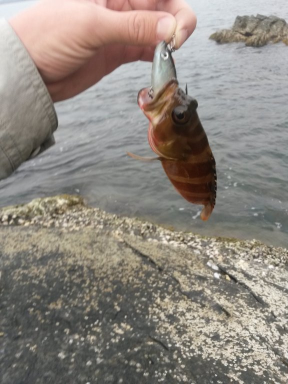 20150925_174204.jpg