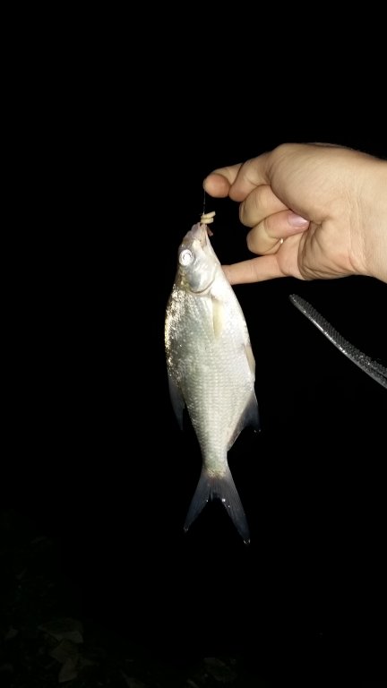 20151013_192124.jpg