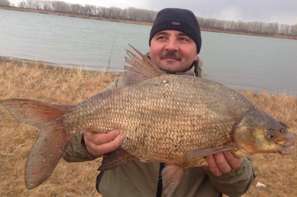 20151108 Андрей.jpg