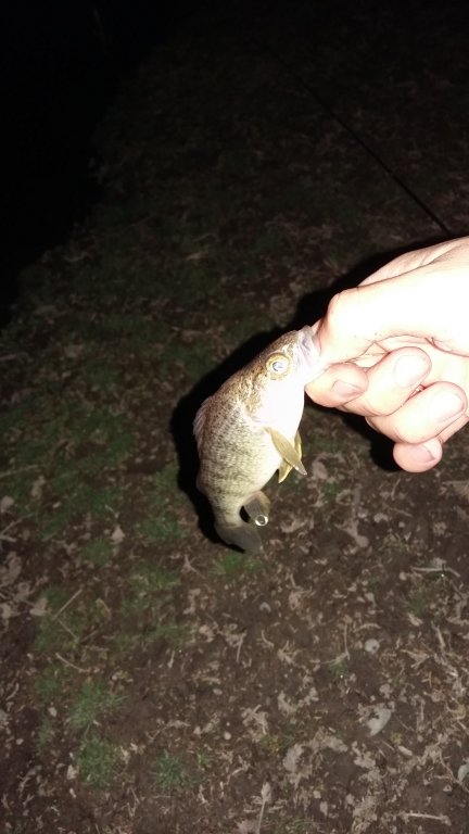 20160313_192412.jpg