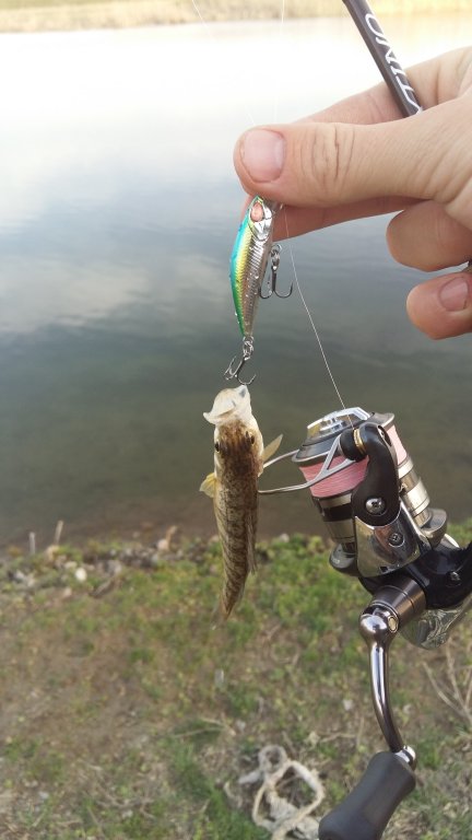 20160324_182210.jpg