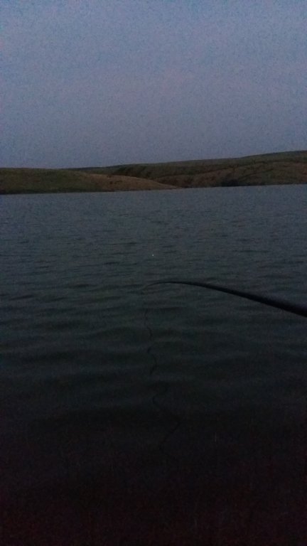 20160608_210436.jpg