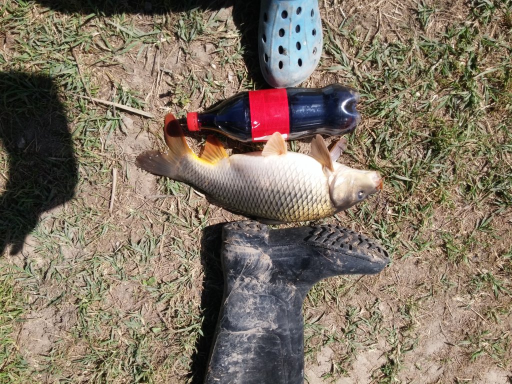 20170512_102220.jpg