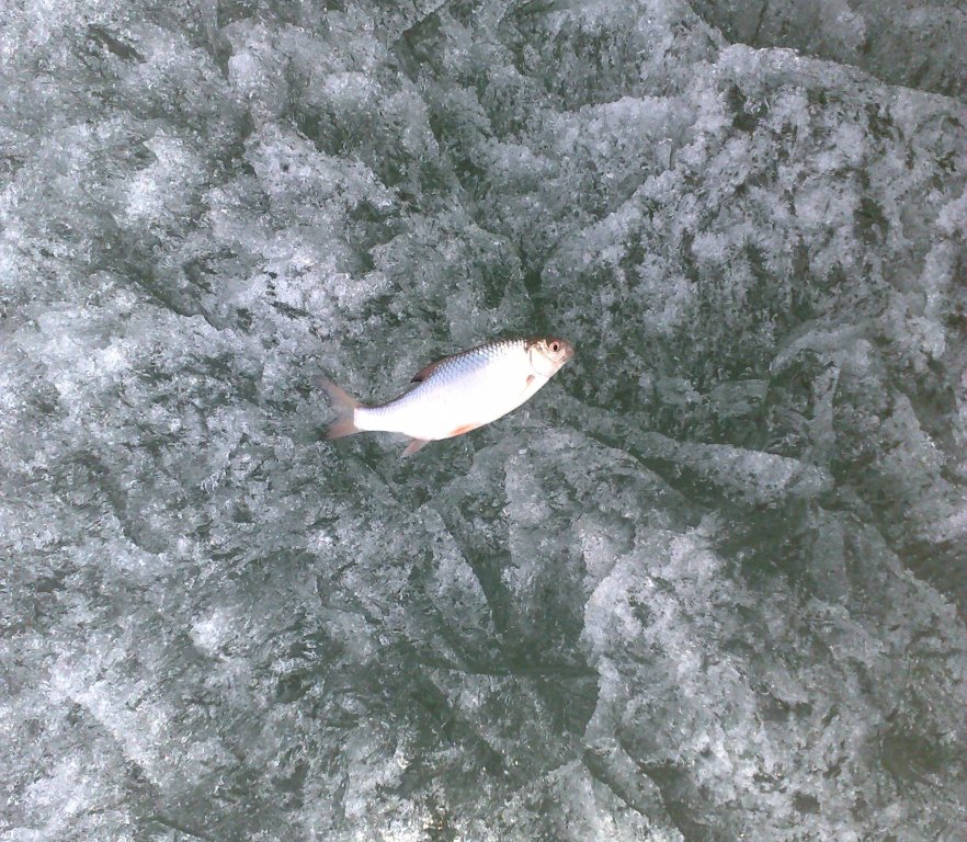 230420155405.jpg