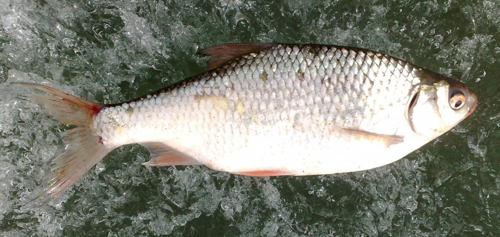230420155420.jpg