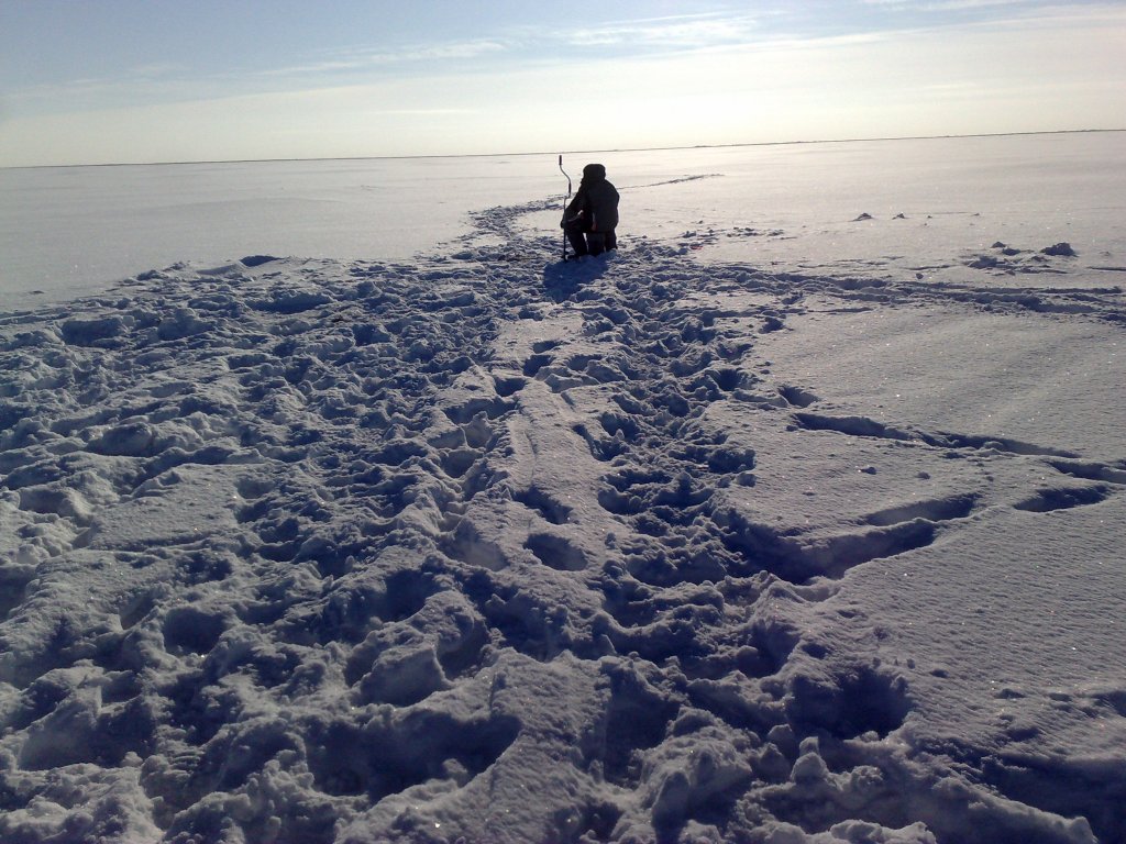 240120154943.jpg