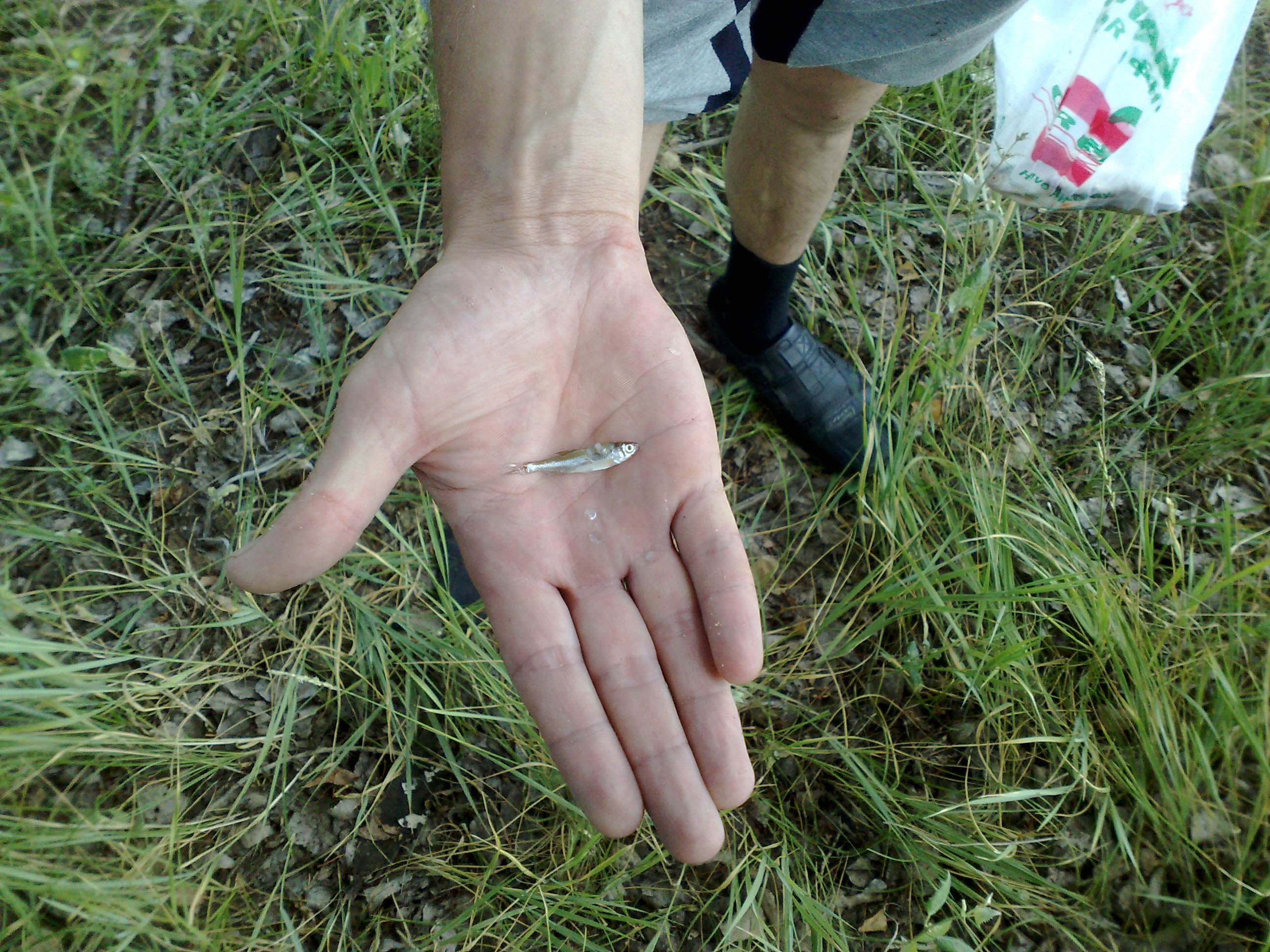 260720133082.jpg