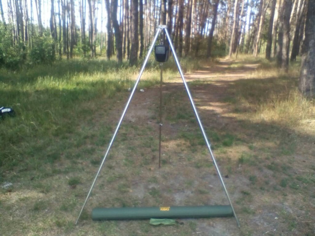 4556.jpg