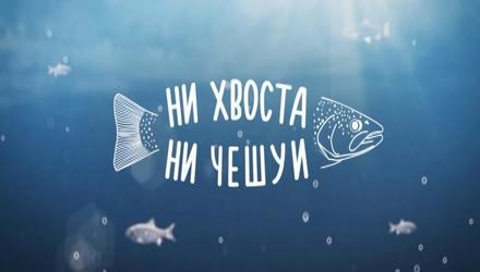6026271C-8C41-42FE-9B85-AAD0D8092A43.jpeg