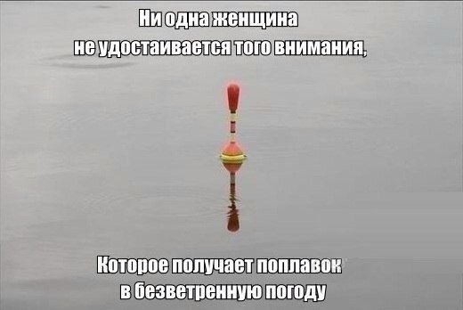 6IrWlzOkDc4.jpg
