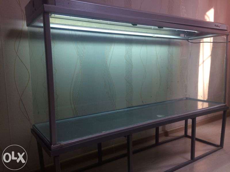 81001923_2_1000x700_prodam-srochno-akvarium-300l-fotografii_rev005.jpg