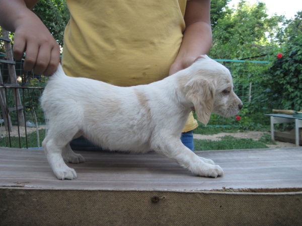 дев2.JPG