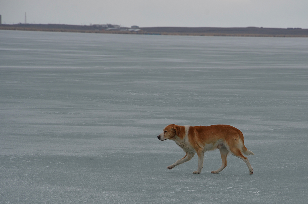 DSC_0021.JPG