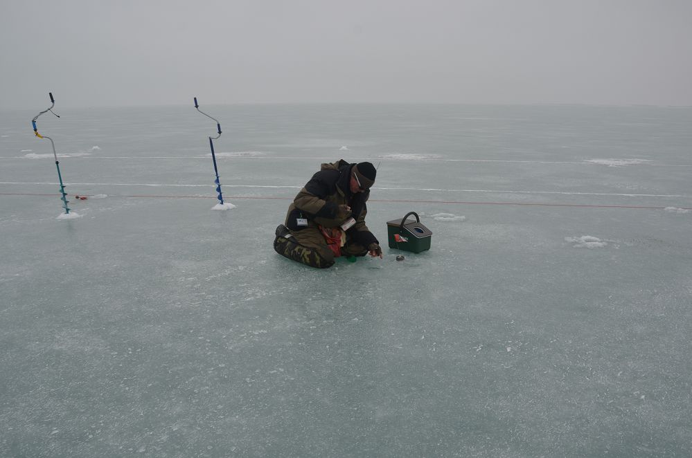 DSC_0097.jpg