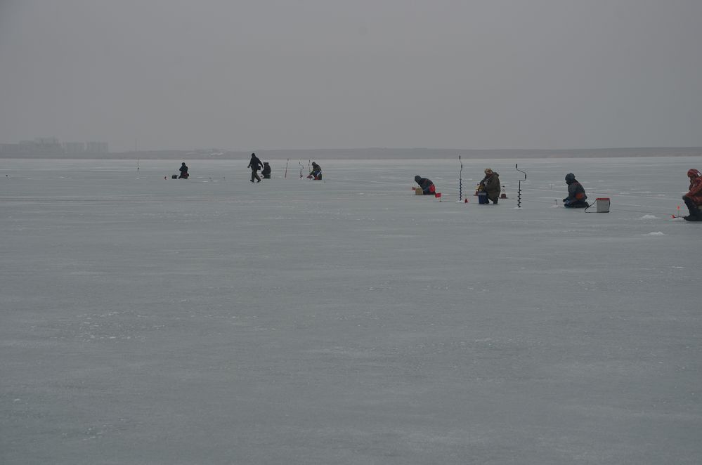 DSC_0103.jpg