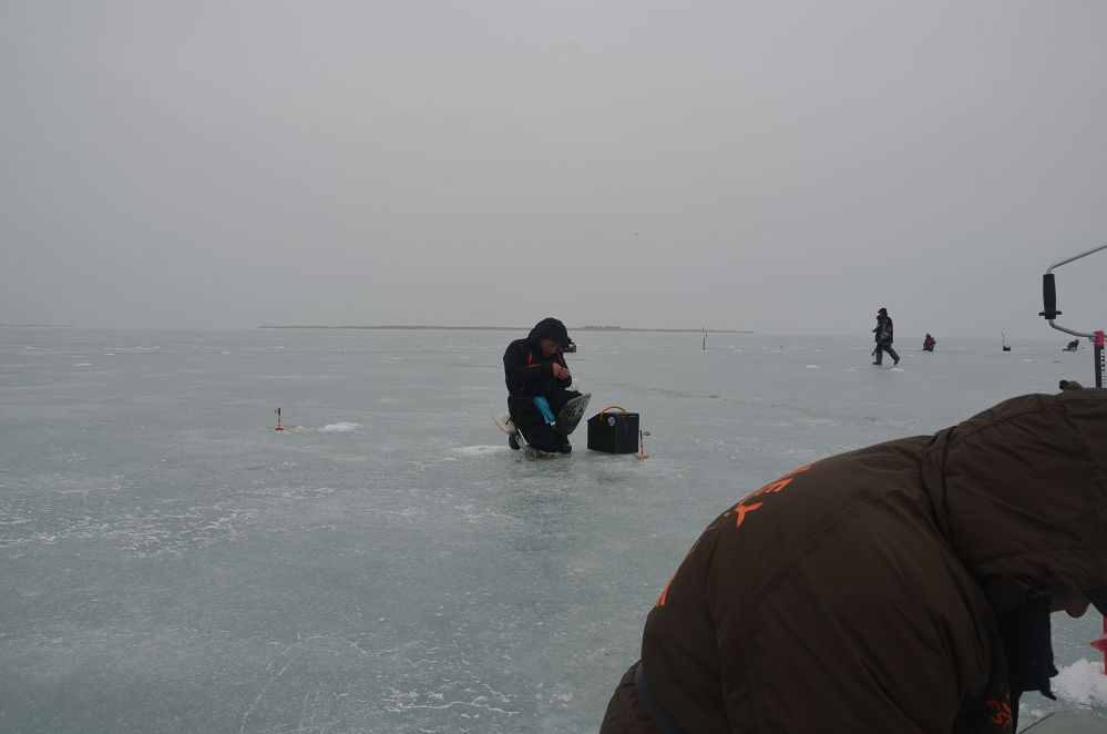DSC_0123.jpg