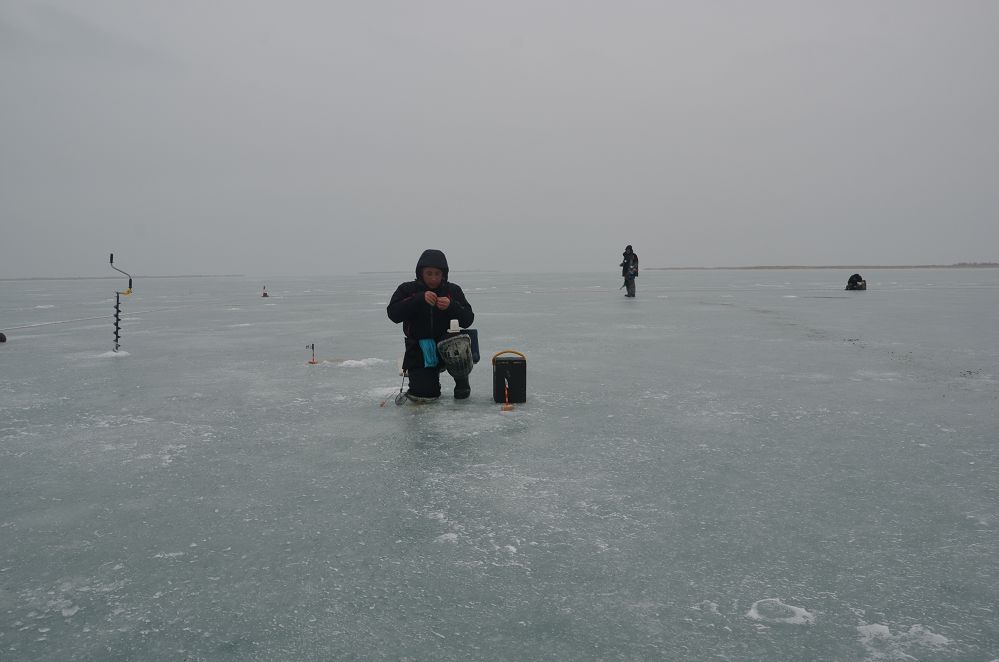 DSC_0124.jpg