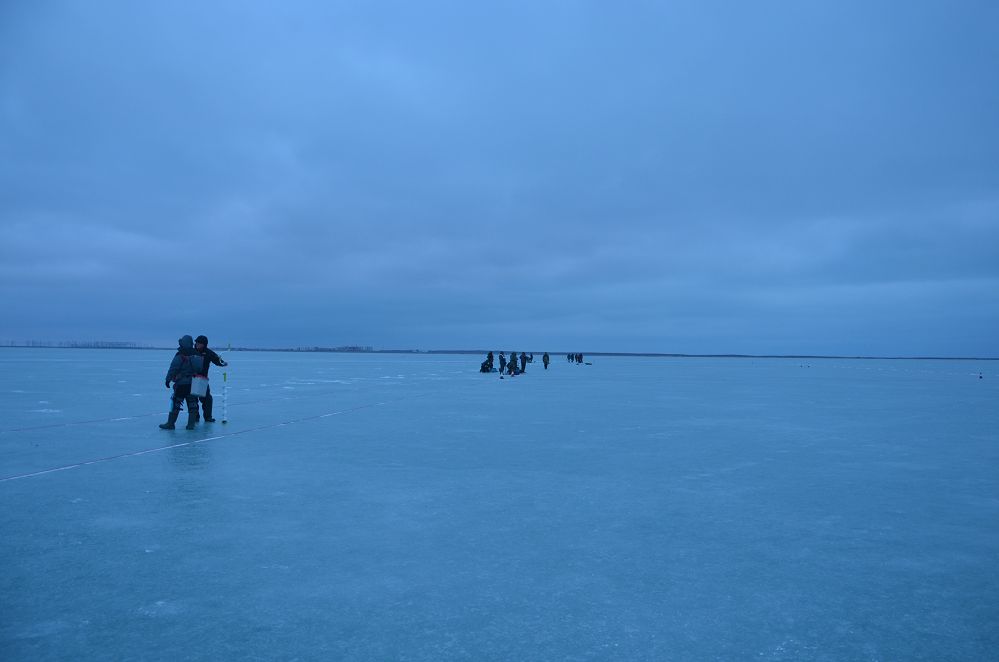 DSC_0139.jpg