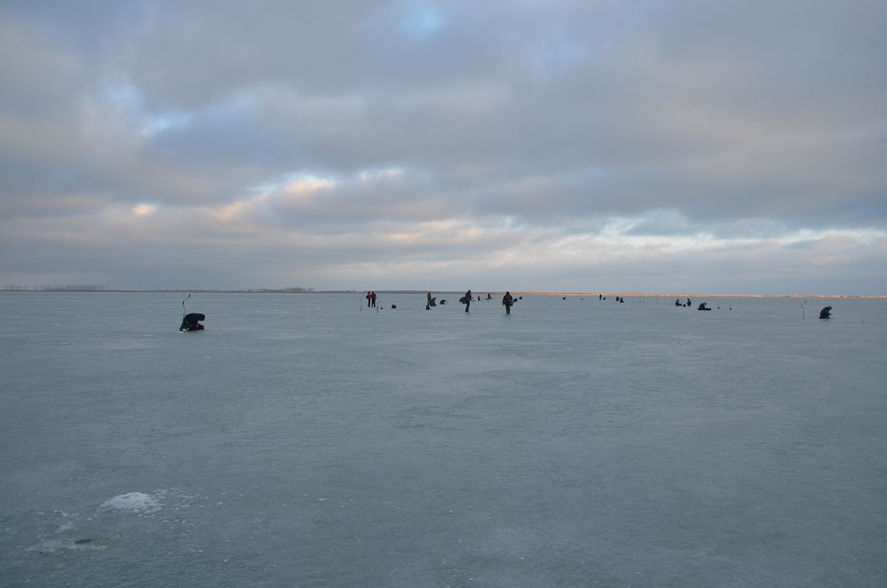 DSC_0156.jpg