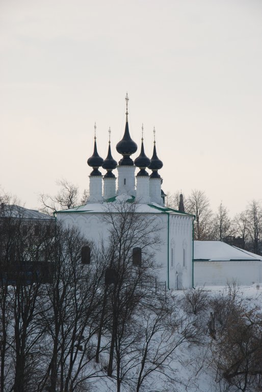 DSC_0509.JPG