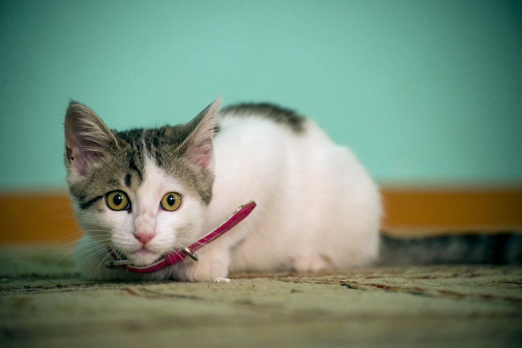 DSC_0663.jpg