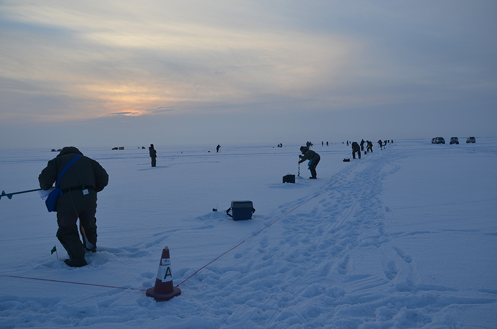 DSC_0945.JPG