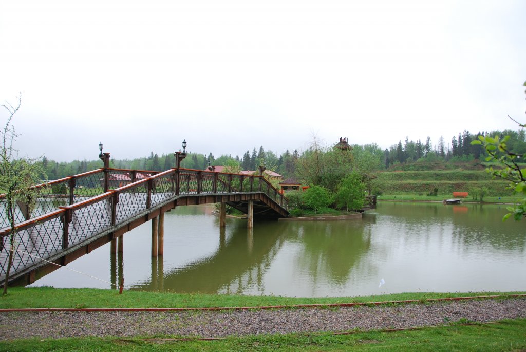 DSC_1007.JPG