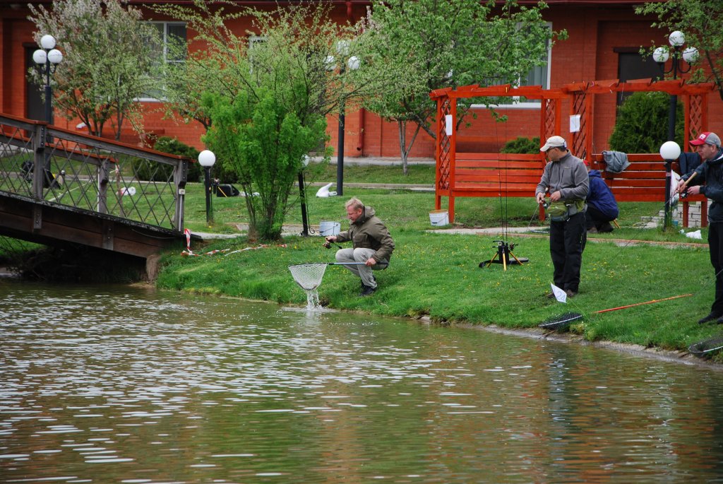 DSC_1172.JPG