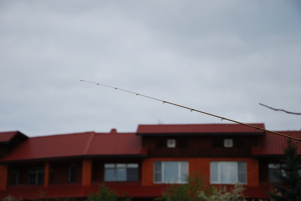 DSC_1287.JPG
