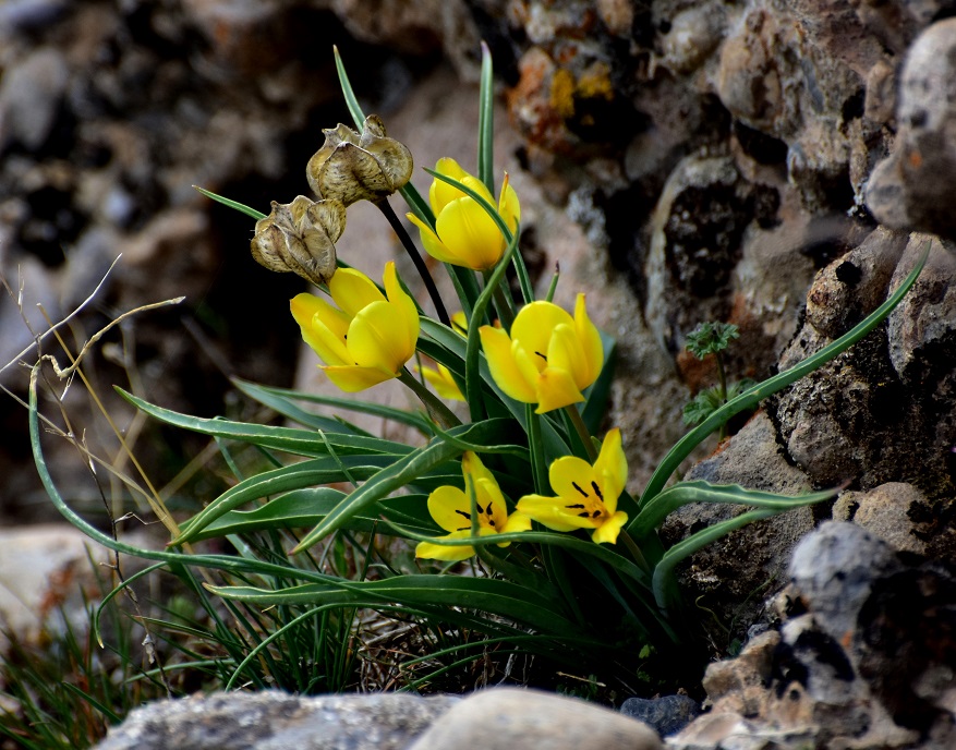 DSC_9201.JPG
