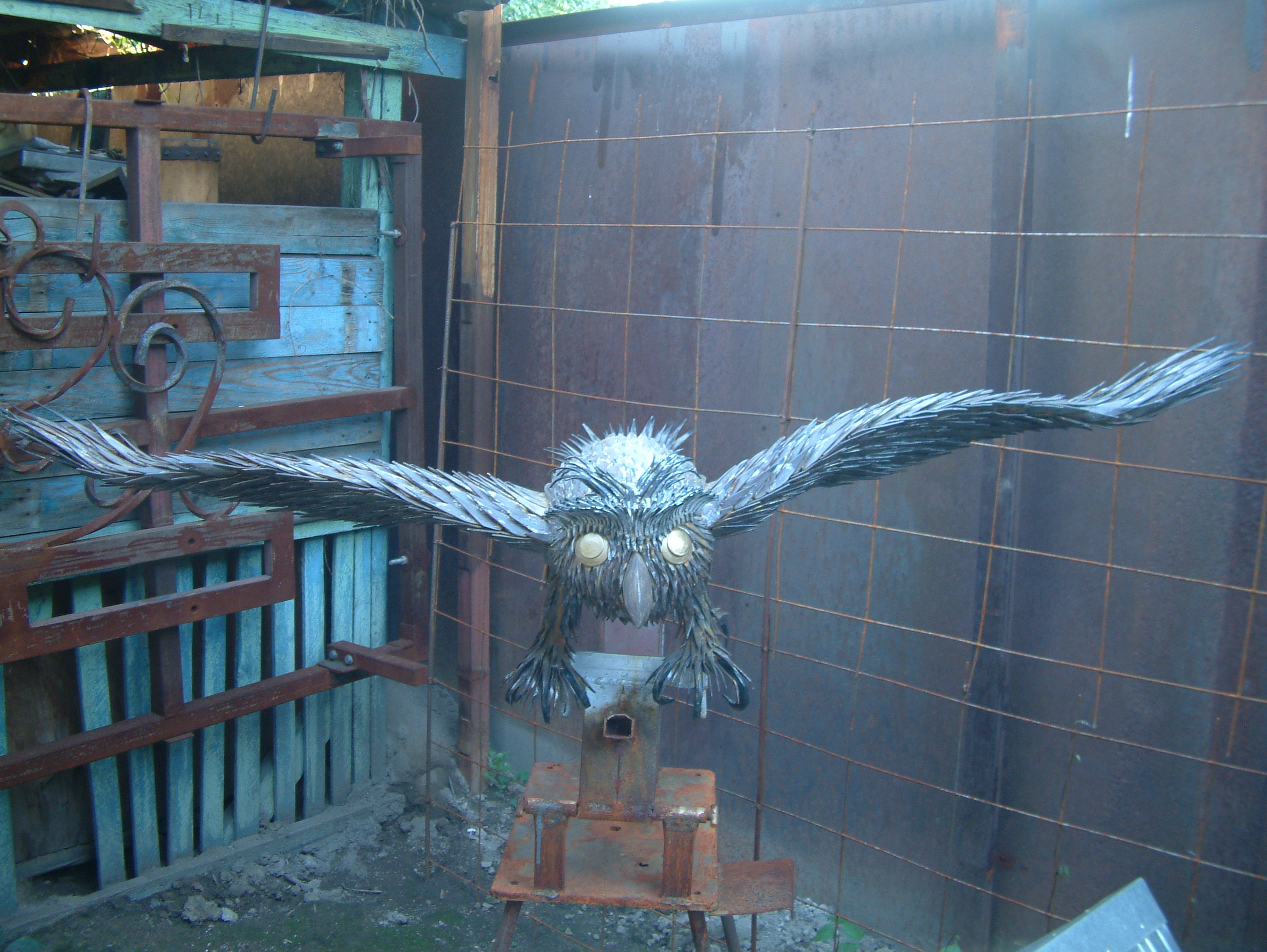 DSCF0718.JPG
