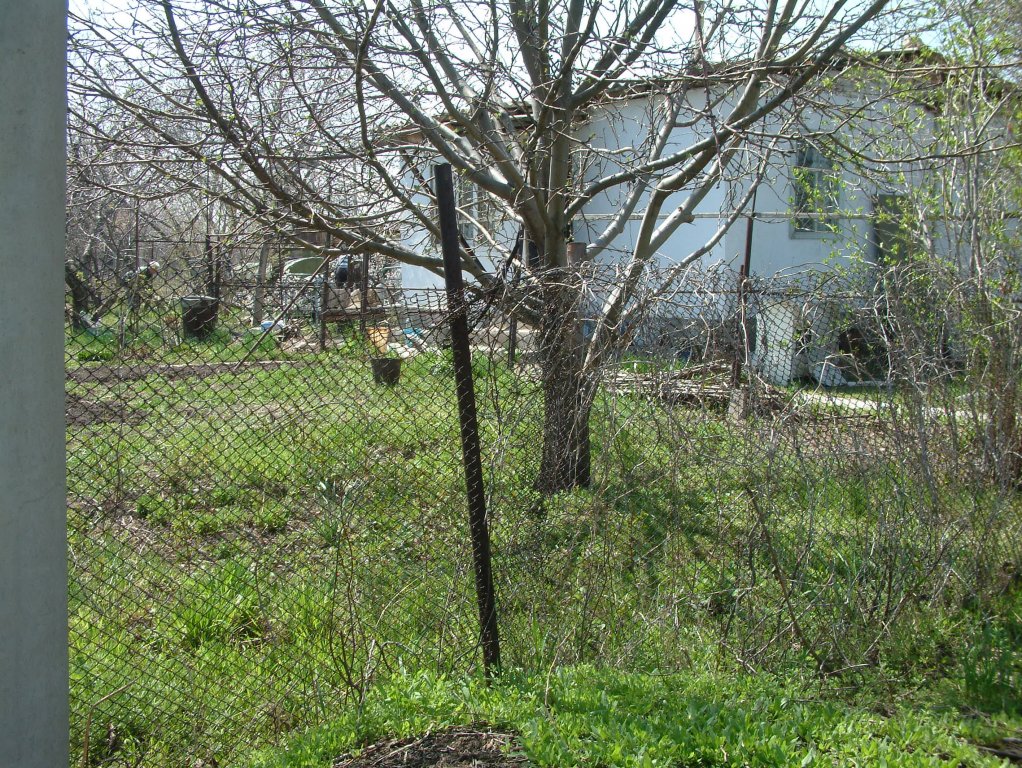 DSCF1193.JPG