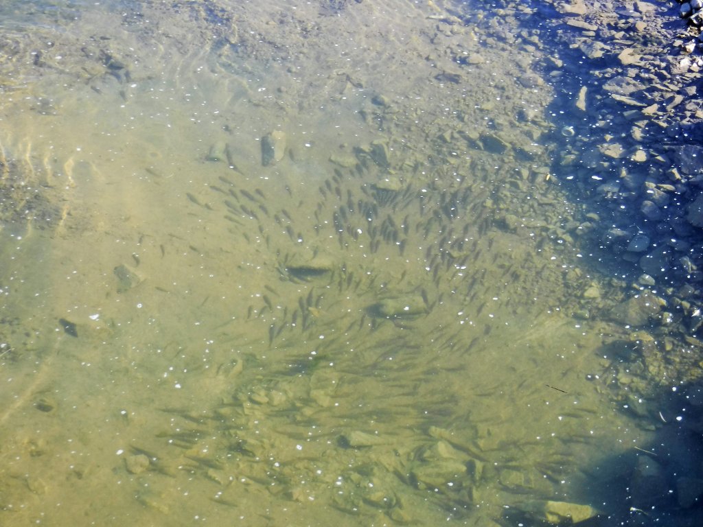 DSCF2407.JPG