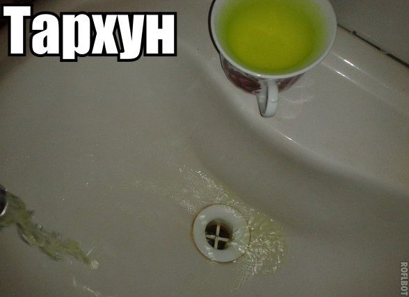 GoLoAChlUqo.jpg