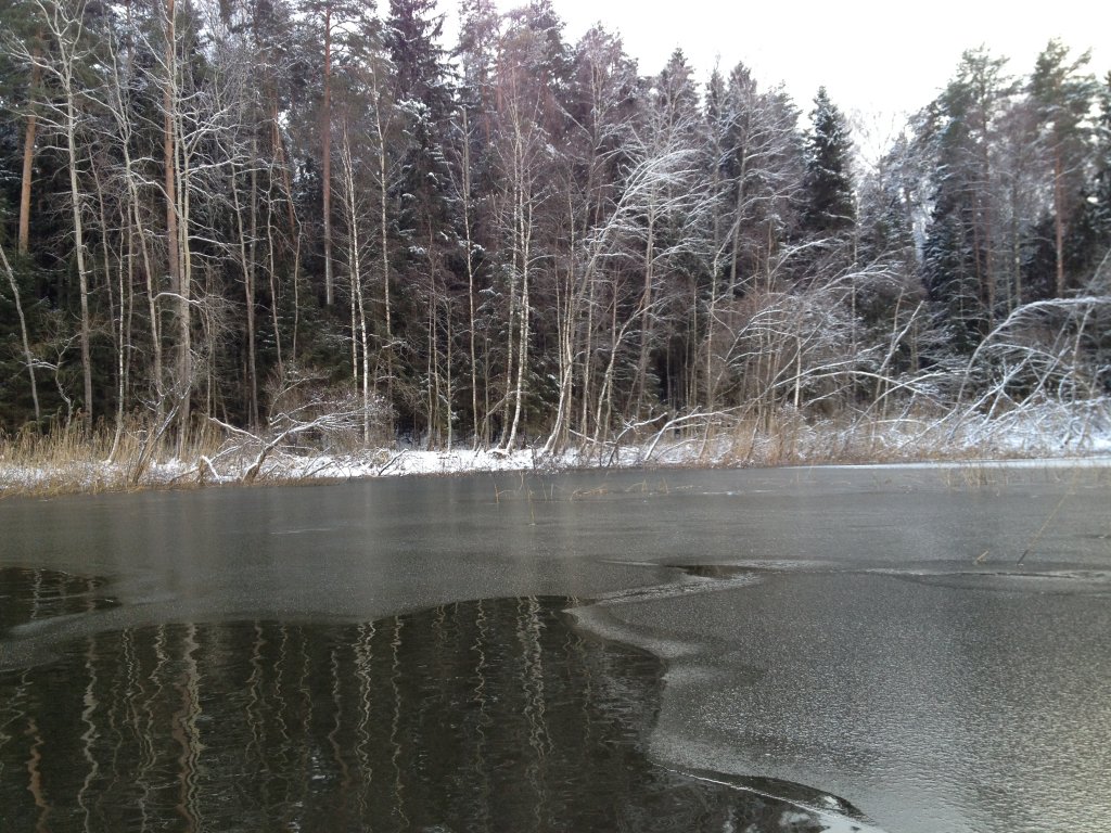 image-30-11-13-11-00.jpeg