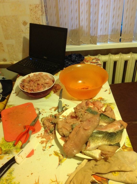 image.jpg
