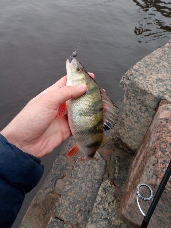 IMG-20170402-WA0055.jpeg