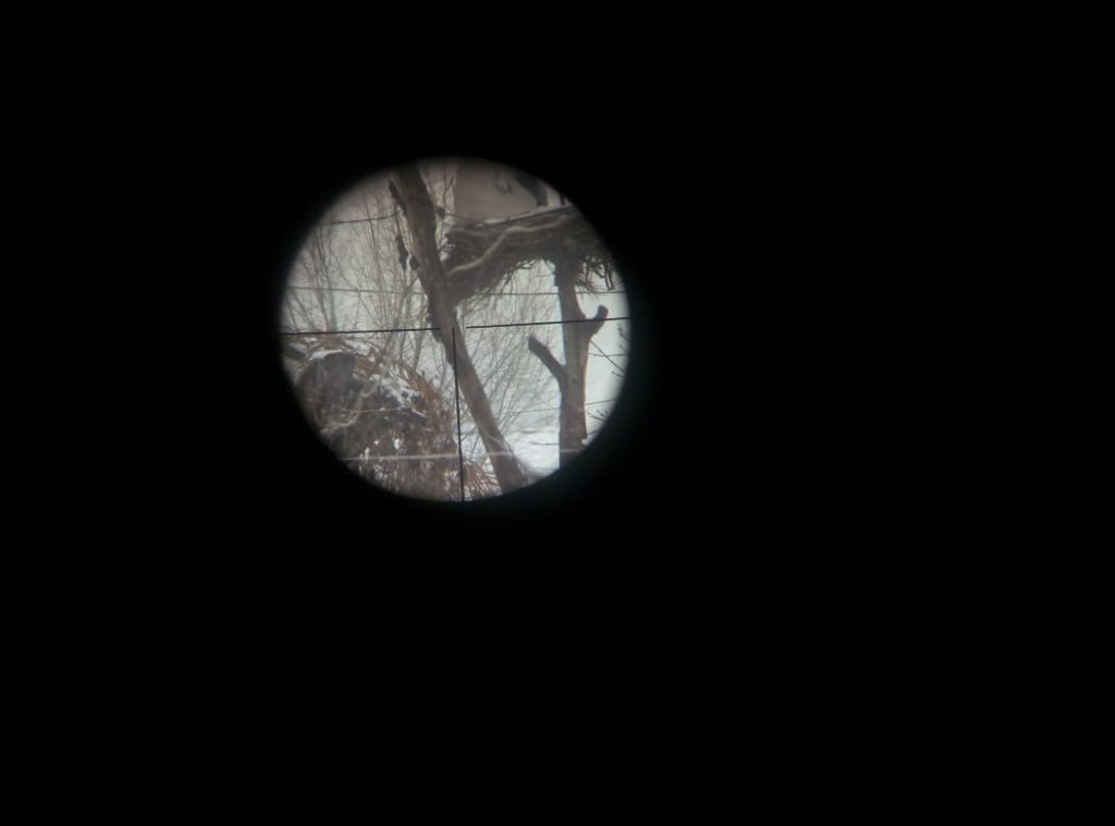 IMG-20181215-WA0070.jpg