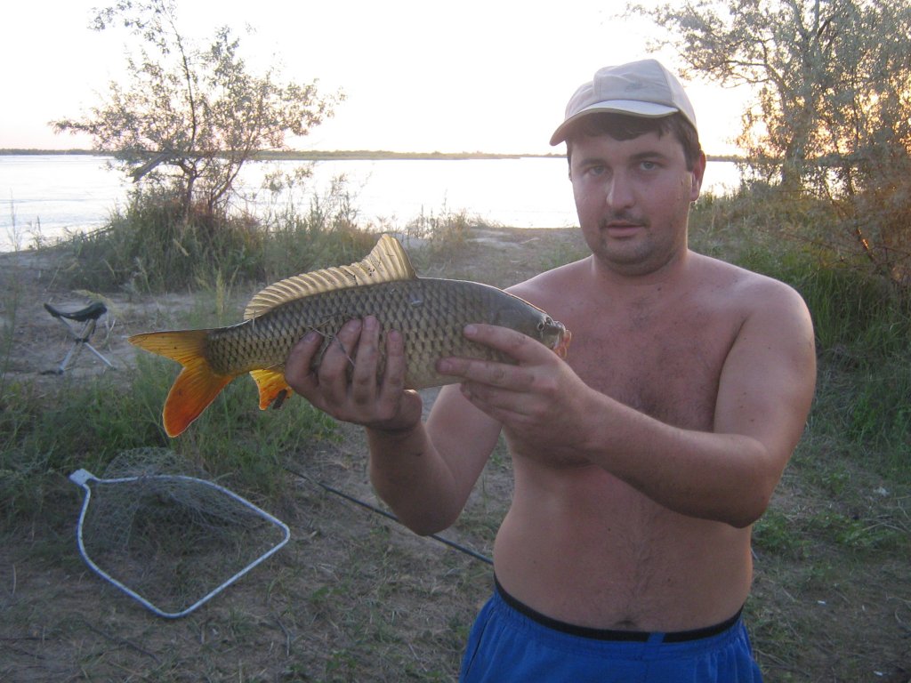 IMG_2666.jpg
