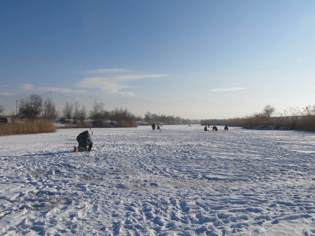 IMG_4896.jpg